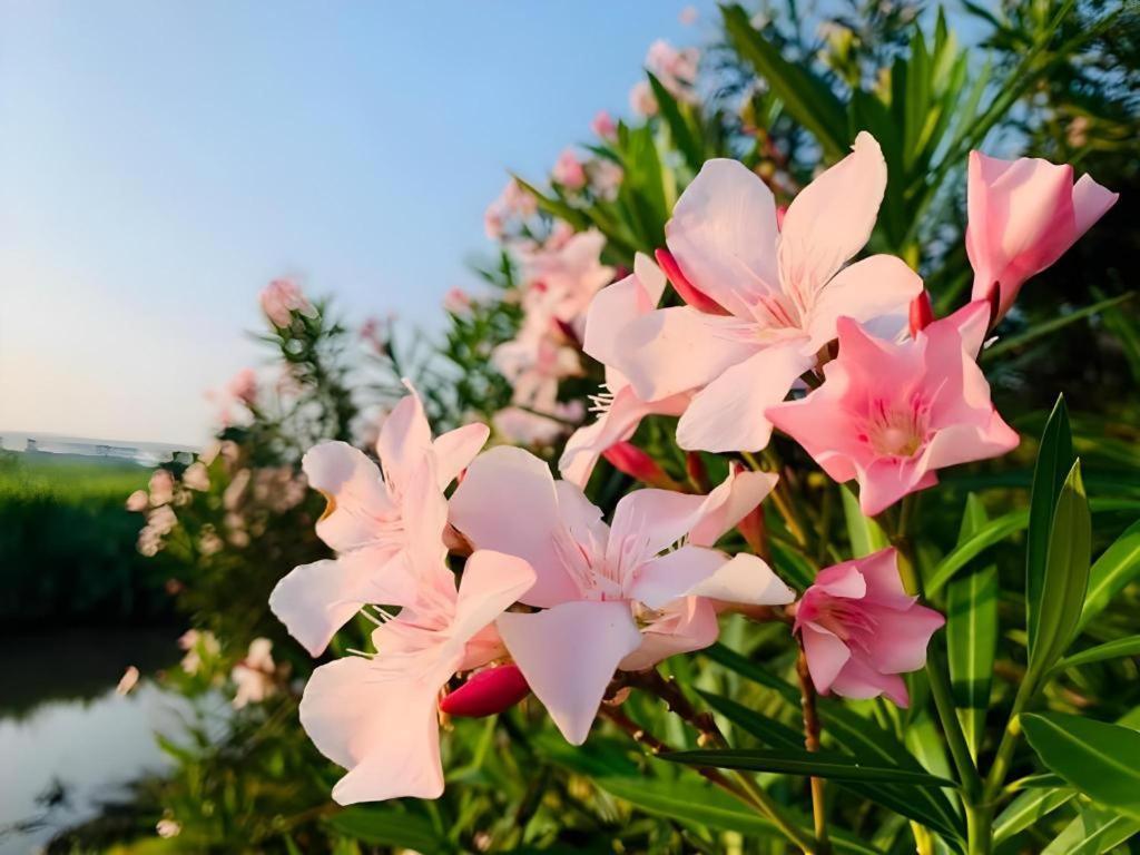 Pingview Villa Resort Tak Luaran gambar